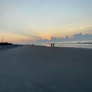 Meet your Posher, Rosalinda